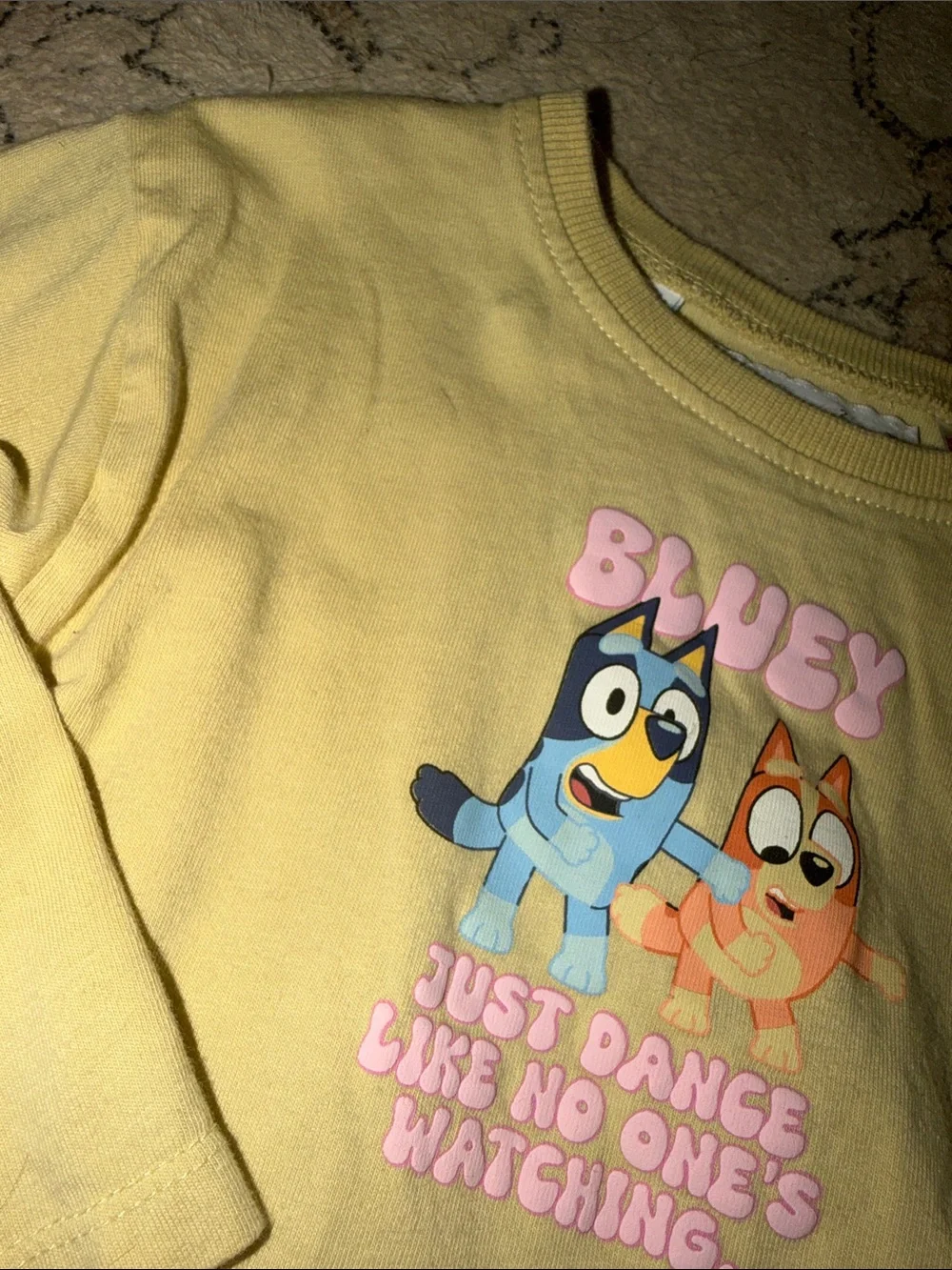 Zara X Bluey Set